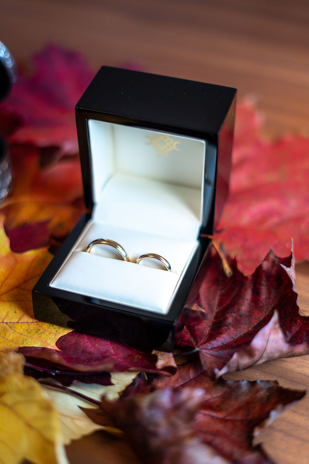 Zwei goldene Eheringe in einer schwarzen Schachtel, umgeben von Herbstblättern auf einem Holztisch.