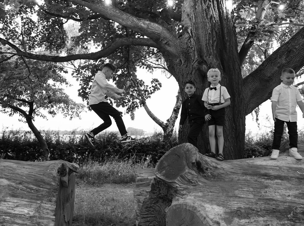 Drei Jungen im Festtagsoutfit spielen vor einem großen Baum mit Baumstämmen im Vordergrund.