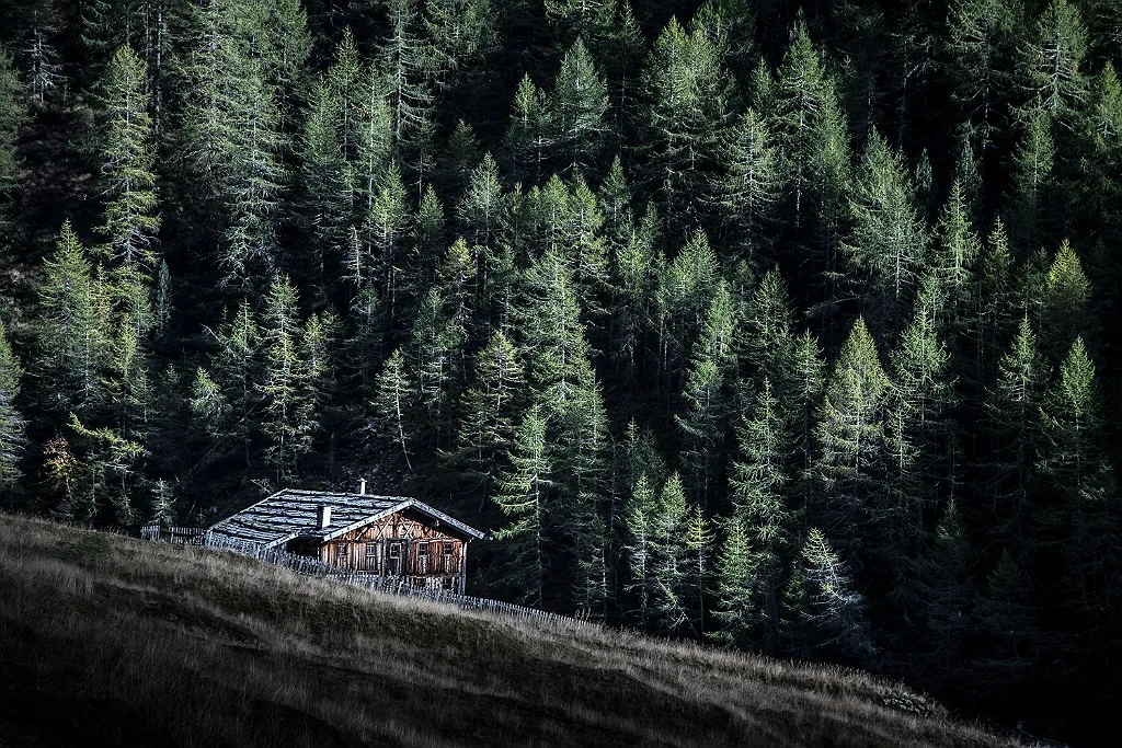 Ein Holzhaus mit Zaun steht am Waldrand, einem Berghang folgend. Im Hintergrund dichter Nadelwald.