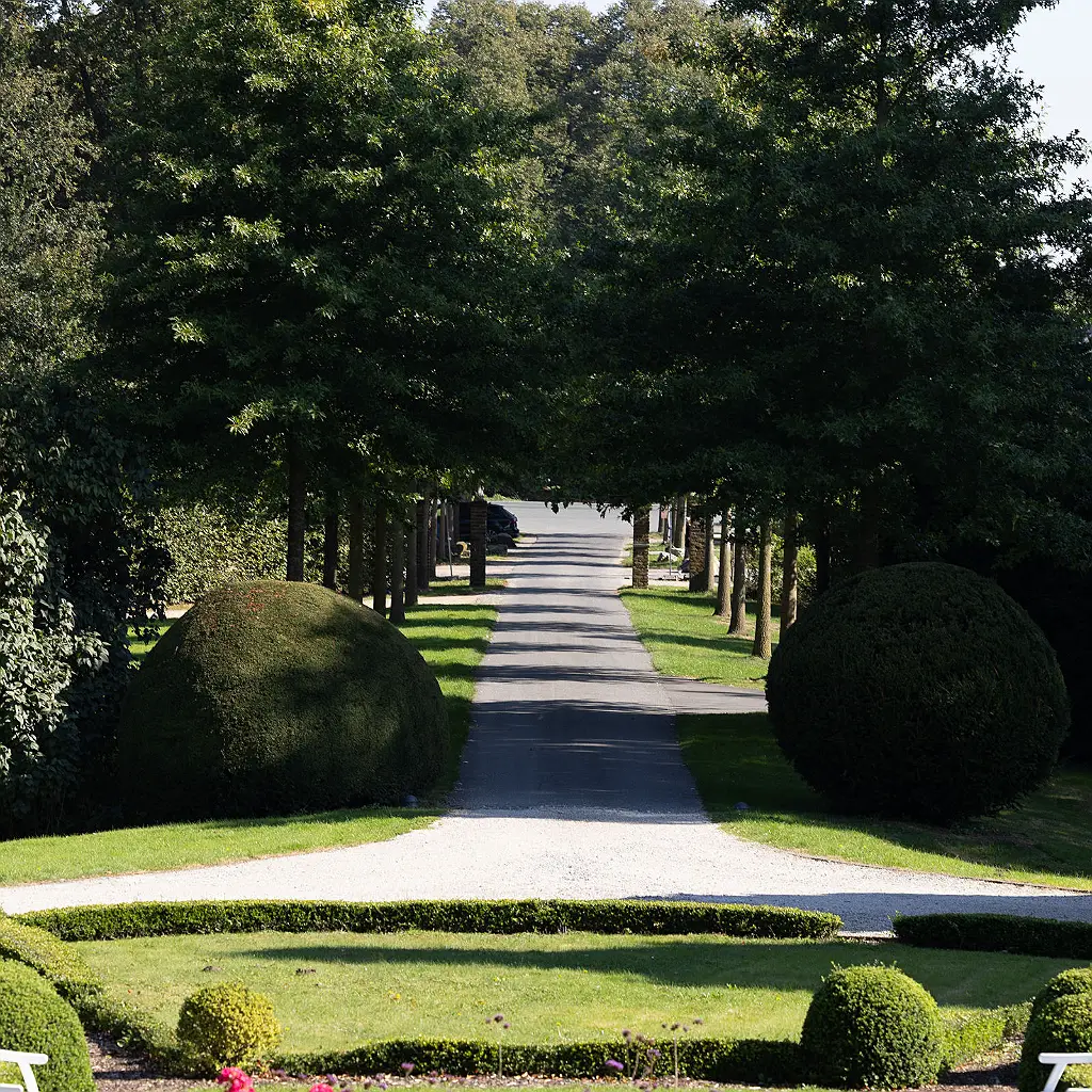 Eine Allee mit Bäumen und einem grauen Weg führt von einem bekiesten Bereich im Vordergrund weg.